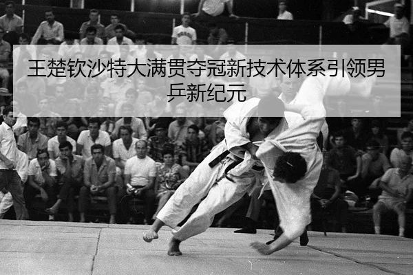 wang-chu-qin-sha-te-da-man-guan-duo-guan-xin-ji-shu-ti-xi-yin-ling-nan-ping-xin-ji-yuan-2-474.jpg