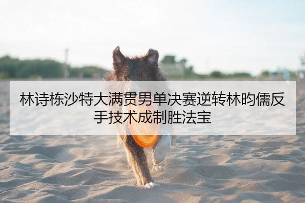lin-shi-dong-sha-te-da-man-guan-nan-dan-jue-sai-ni-zhuan-lin-yun-ru-fan-shou-ji-shu-cheng-zhi-sheng-fa-bao-2-464.jpg